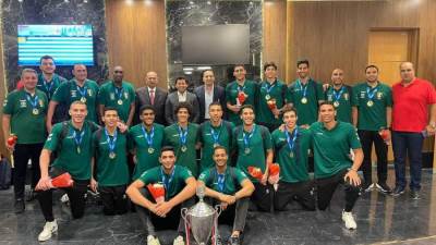 وزير الرياضة يستقبل شباب اليد بمطار القاهرة الدولى