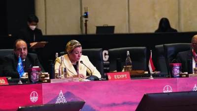 «فؤاد»: نأمل دعم النظام البيئي متعدد الأطراف والخروج ببيان قوي شامل