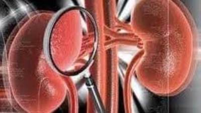 أعراض التهاب الحوض الكلوي .. تعرف عليها