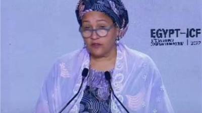 الأمم المتحدة: مستعدون لمساعدة مصر فى التحول نحو الاقتصاد الأخضر