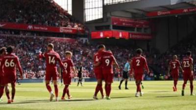 محمد صلاح يقود هجوم ليفربول الرسمى ضد نابولى فى دورى أبطال أوروبا