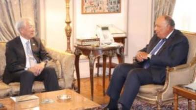 وزير الخارجية يشيد بالعلاقات السياسية والاقتصادية والثقافية بين مصر وسنغافورة