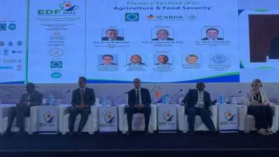 وزير التموين: المخزون الاستراتيجي من القمح يكفي لمدة 6.6 شهر