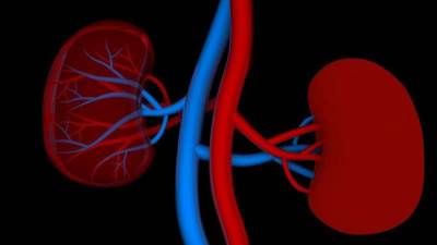 ارتفاع ضغط الدم يؤذي الكلى أيضا!