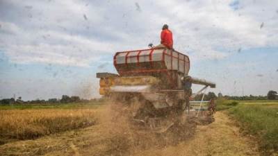 مصر تعدل آلية تسعير بيع الغاز الطبيعي لشركات الأسمدة الأزوتية