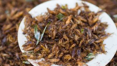 الصراصير في هذا البلد أطباق متنوعة.. مصدر غني بالبروتين