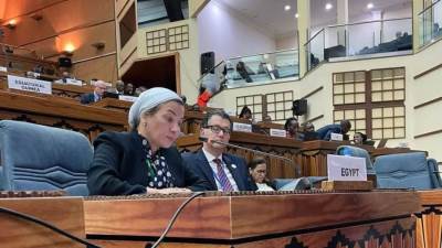 وزيرة البيئة: مبادرات عالمية لدعم أفريقيا للتكيف مع تغير المناخ 