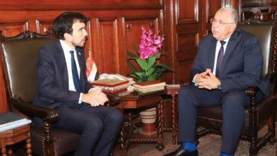 وزير الزراعة يبحث مع الفاو التعاون بين المنظمة والوزارة وسبل تعزيزها