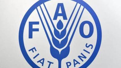 الفاو: تراجع مؤشر أسعار الغذاء للشهر السادس في سبتمبر