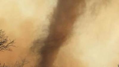 دراسة: الشركات تتجاهل المخاطر المالية للانبعاثات الكربونية