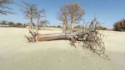 المنظمة العالمية للأرصاد الجوية تحذر: تغير المناخ يهدد أمن الطاقة حول العالم