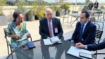 وزير الزراعة يلتقي خبيرين دوليين في إدارة أزمات الأمن الغذائي