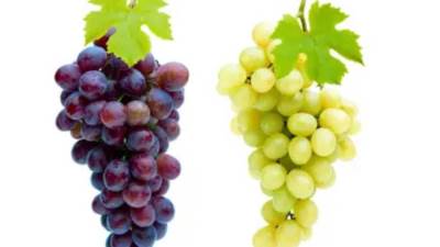 دراسة تكشف: العنب يقلل فرص الإصابة بالخرف