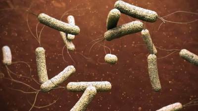 مأساة إنسانية.. تفشي الكوليرا بين اللاجئين السوريين في مخيمات بلبنان