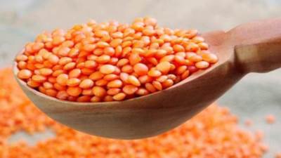 7 جنيهات في الكيلو.. ارتفاع جديد في أسعار العدس واللوبيا