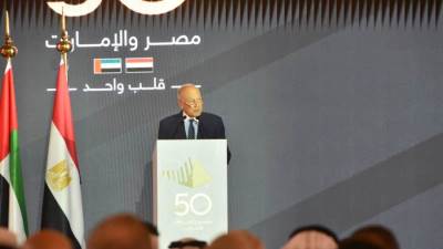 أحمد أبو الغيط: الإمارات من أكبر الداعمين لـ«الجمهورية الجديدة» في مصر