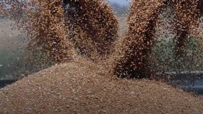 روسيا: 3% فقط من صادرات اتفاق الحبوب الأوكراني تُمنح للدول الأشد فقرا