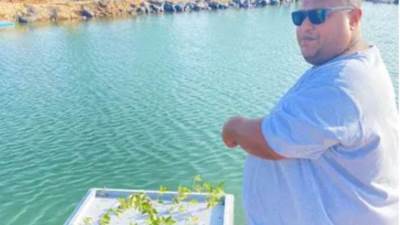 سعودي ينجح في زراعة الأرز بطرق مبتكرة…تعرف عليها