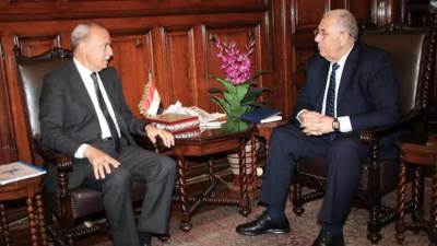 وزير الزراعة يبحث مع محافظ القليوبية سرعة إنهاء إجراءات تخصيص الأراضي