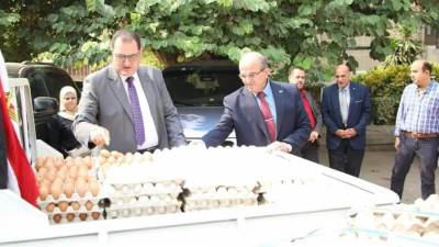 72 جنيها للكرتونة.. الزراعة تطرح البيض بأسعار مخفضة في منافذها 