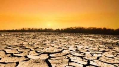 كيف تناولت مؤتمرات الأمم المتحدة للمناخ ظاهرة الاحتباس الحراري