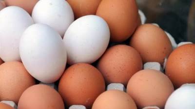 "الزراعة" تطرح كميات من بيض المائدة بأسعار مخفضة عبر منافذها بالمحافظات