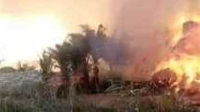 النيران تلتهم قش أرز 2000 فدان في الدقهلية 