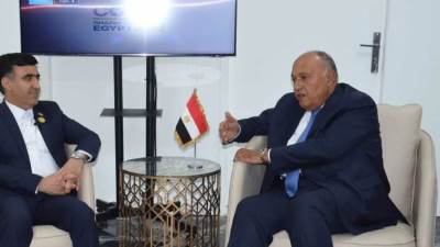 قمة المناخ.. سامح شكري يستقبل نائب رئيس إيران بكوب 27