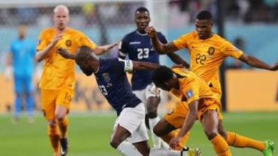 كأس العالم2022.. هولندا تتعادل مع الإكوادور 1 - 1 فى مباراة اليوم