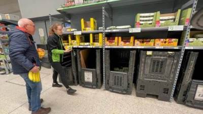 اختفاء البيض من متاجر بريطانيا بعد تفشي انفلونزا الطيور 