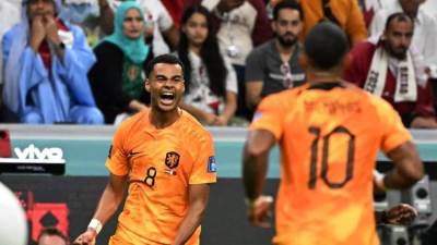 هولندا تتفوق على قطر في الشوط الأول بهدف نظيف 