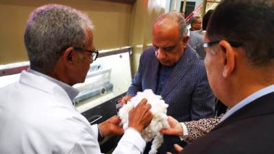 "قطاع الأعمال": بيع 890 ألف قنطار ضمن منظومة تداول القطن حتى الآن