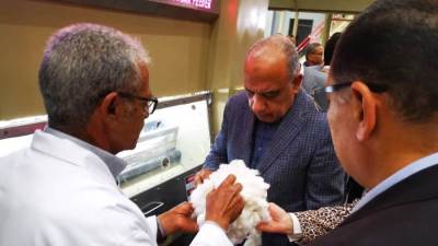 "قطاع الأعمال": بيع 890 ألف قنطار ضمن منظومة تدوال القطن حتى الآن