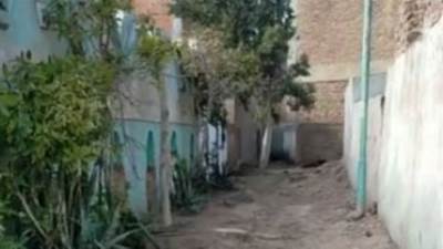 دار الإفتاء توضح حكم زيارة قبر الوالدين كل جمعة وقراءة القرآن لهما