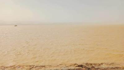 الدكتور سويلم: زيادة شدة وتواتر الظواهر المناخية أحد النتائج السلبية للتغيرات المناخية