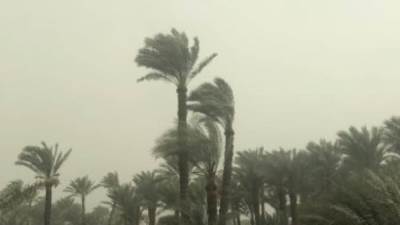 مائل للبروده ليلاً.. تعرف علي حالة الطقس اليوم السبت 3 ديسمبر