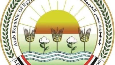 الحكومة تنفي انتشار مرض الحمى القلاعية بين الماشية نتيجة غياب حملات التحصين