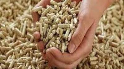 الزراعة: الإفراج عن 84 ألف طن أعلاف"الذرة والصويا" بحوالي 51 مليون دولار