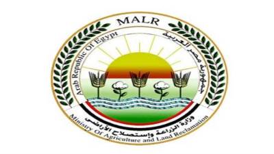 الزراعة تفرج عن 150 ألف طن أعلاف "ذرة وفول صويا" بـ79 مليون دولار