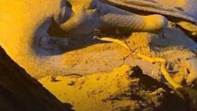 المؤبد للمتهمين في قضية «مقبرة عين شمس الأثرية»