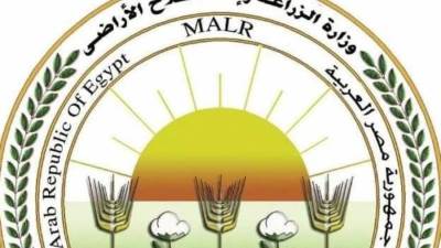 وزير الزراعة: الإفراج عن 145 ألف طن أعلاف خلال الأسبوع الماضي 