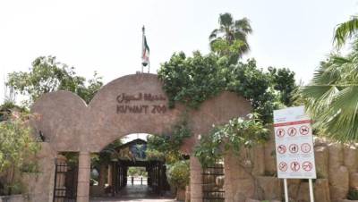 الحكومة توافق على تطوير حديقة الحيوان بالجيزة 