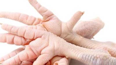 الكيلو بـ 20 جنيها.. اتحاد منتجي الدواجن يكشف أسباب ارتفاع أسعار أرجل الفراخ