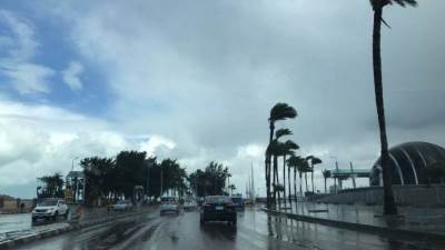 أمطار خفيفة.. الأرصاد تكشف حالة الطقس المتوقعة غدا 