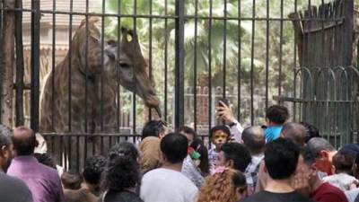 غلق حديقة الحيوان الأسبوع المقبل لمدة عام كامل