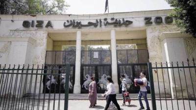 حقيقة غلق حديقة الحيوان الاسبوع المقبل ولمدة عام.. الزراعة ترد
