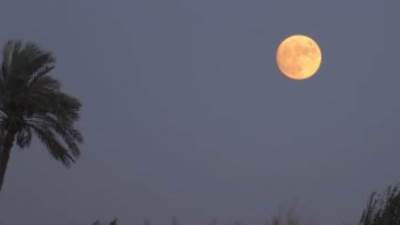 أول قمر مكتمل فى 2023.. "قمر الذئب" يضىء سماء مصر اليوم