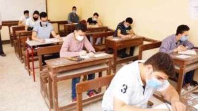 التعليم تنفي عقد الامتحانات غدا بسبب عيد الميلاد 