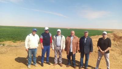 وزير قطاع الأعمال: التوسع في زراعة القمح وزيادة مساحته لـ50% من إجمالي المساحة