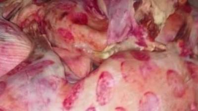 تعرف على أسعار اللحوم الطازجة فى منافذ وزارة الزراعة